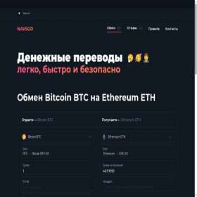 Скриншот главной страницы сайта navsgo.com