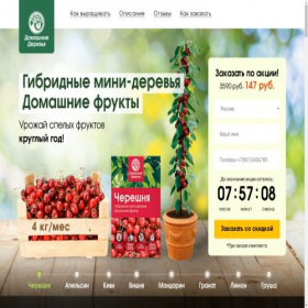 Скриншот главной страницы сайта nb.ecodarmini.com