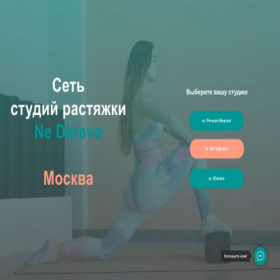 Скриншот главной страницы сайта nederevo.ru