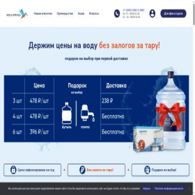 Скриншот главной страницы сайта neelasprings.ru