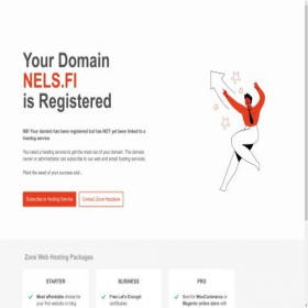 Скриншот главной страницы сайта nels.fi