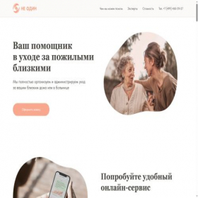 Скриншот главной страницы сайта neodin.online