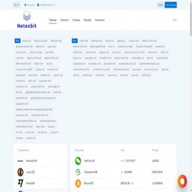 Скриншот главной страницы сайта netexbit.com