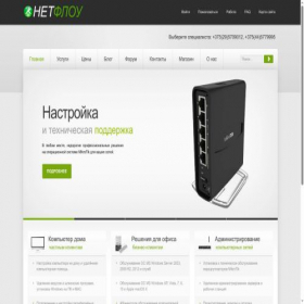 Скриншот главной страницы сайта netflow.by