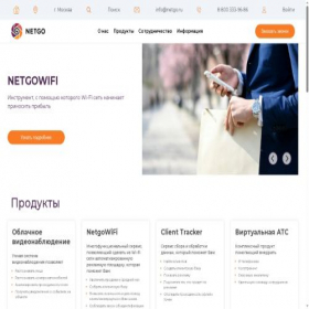 Скриншот главной страницы сайта netgo.ru