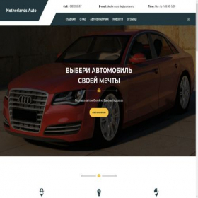 Скриншот главной страницы сайта netherlandsauto.store