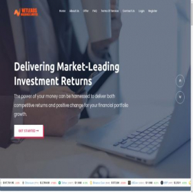 Скриншот главной страницы сайта netleadsholdingsltd.co