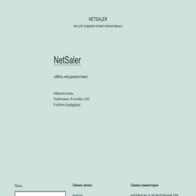 Скриншот главной страницы сайта netsaler.ru