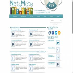 Скриншот главной страницы сайта netsmate.com