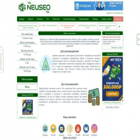 Скриншот главной страницы сайта neuseo.com