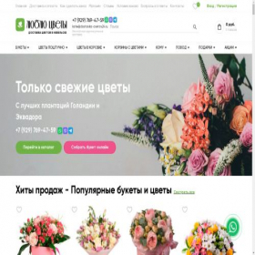 Скриншот главной страницы сайта nevelsk.dostavka-cvetov24.ru