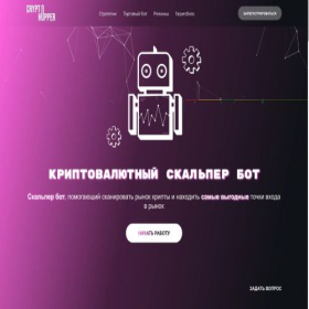 Скриншот главной страницы сайта new-trading24.ru