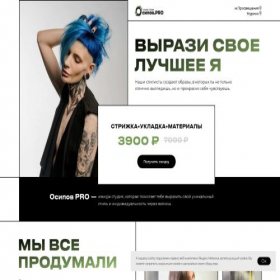 Скриншот главной страницы сайта new.osipovpro.ru