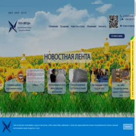 Скриншот главной страницы сайта new.zvezdagroup.ru