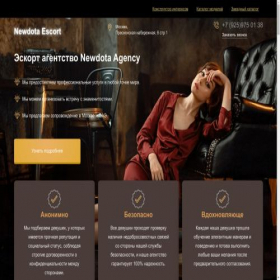 Скриншот главной страницы сайта newdotagency.com