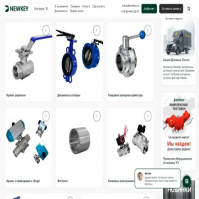 Скриншот главной страницы сайта newkey.ru