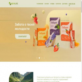 Скриншот главной страницы сайта newlife.market