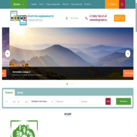 Скриншот главной страницы сайта newmetry.ru