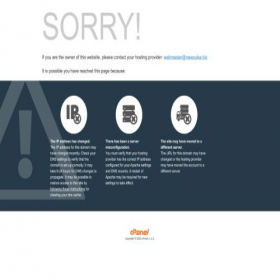 Скриншот главной страницы сайта newpulse.biz