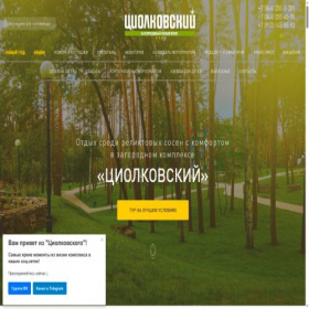 Скриншот главной страницы сайта newsanatory.ru