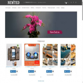 Скриншот главной страницы сайта newted.ru