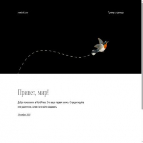 Скриншот главной страницы сайта newtraf.com