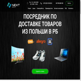 Скриншот главной страницы сайта next-group.pl