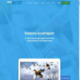 Скриншот главной страницы сайта nextstepagency.ru