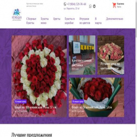 Скриншот главной страницы сайта nezabudkaomsk.ru
