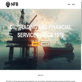 Скриншот главной страницы сайта nfb-trading.de