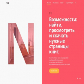 Скриншот главной страницы сайта nglib.ru
