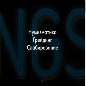 Скриншот главной страницы сайта ngs-ocenka.tilda.ws