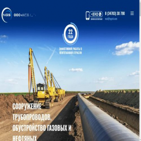 Скриншот главной страницы сайта ngsrb.com