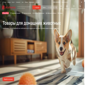 Скриншот главной страницы сайта nice-cash.ru