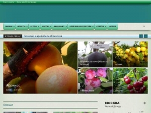 Скриншот главной страницы сайта nichego-sebe.tk