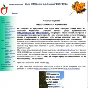 Скриншот главной страницы сайта niilisavenko.org
