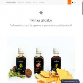 Скриншот главной страницы сайта nikita-store.ru