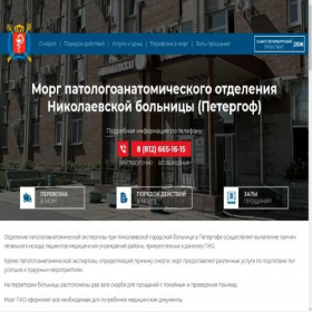 Скриншот главной страницы сайта nikolaevskaya-morg.spb.ru