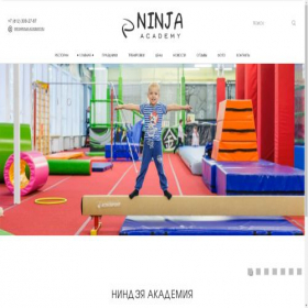 Скриншот главной страницы сайта ninja-academy.ru