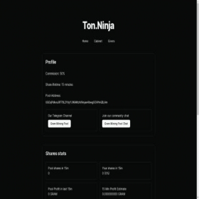 Скриншот главной страницы сайта ninja.tonlens.com