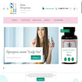 Скриншот главной страницы сайта nishi-int.ru