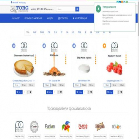 Скриншот главной страницы сайта nizhnij-novgorod.esigtorg.ru