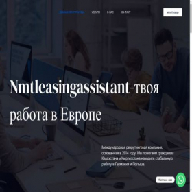 Скриншот главной страницы сайта nmtleasingassistant.com