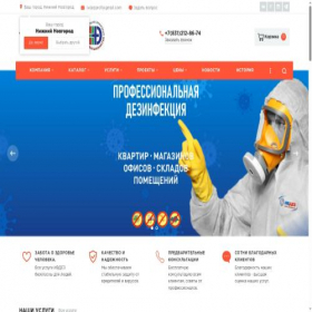 Скриншот главной страницы сайта nn.ivdez.ru