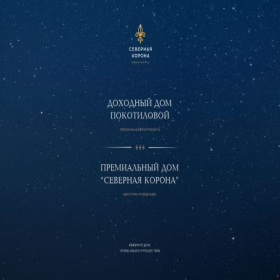 Скриншот главной страницы сайта nord-corona.ru