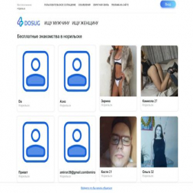 Скриншот главной страницы сайта norilsk.4-dosug.com
