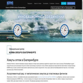 Скриншот главной страницы сайта norma-rus.ru