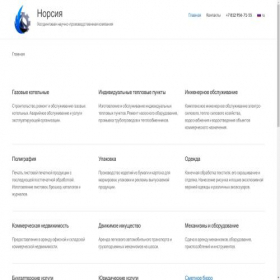 Скриншот главной страницы сайта norsia.ru