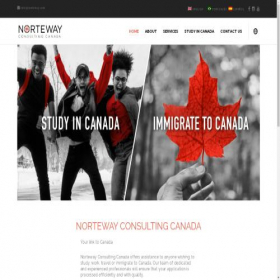 Скриншот главной страницы сайта norteway.com