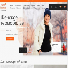 Скриншот главной страницы сайта norveg.ru
